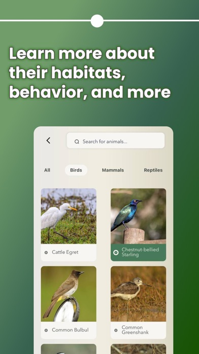 Animadex: Wildlife Explorer Screenshot