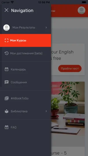 Captura de pantalla de Present Simple English School en iPhone 2