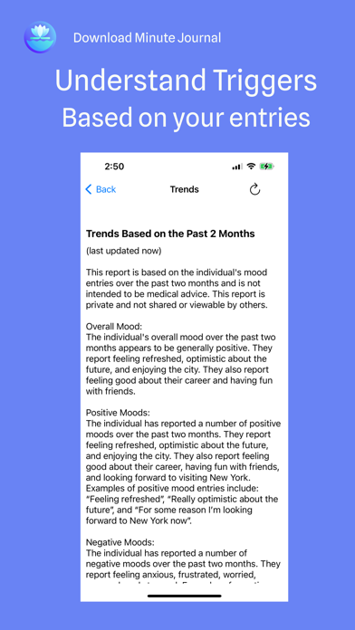 Minute Journal: Mood Tracker Screenshot