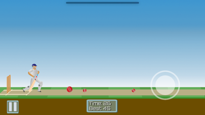CricketMayhem: 2D Cricket Game Screenshot