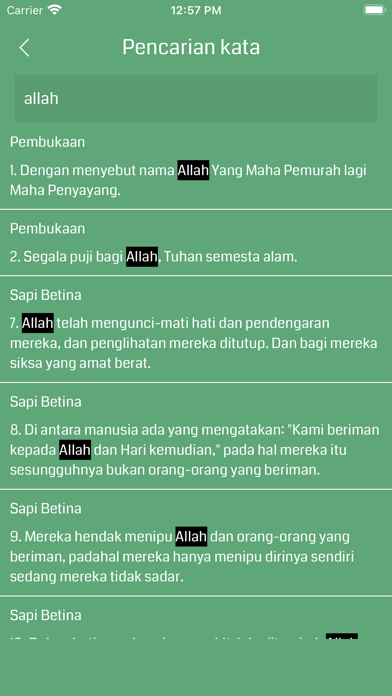 Indonesian Quran Screenshot