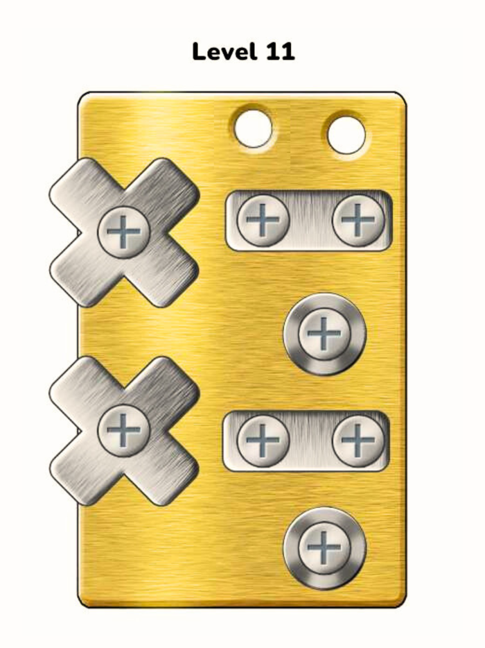 Nuts Screwing Puzzle