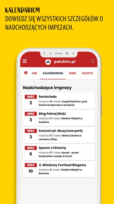 Pałuki Żnin Screenshot