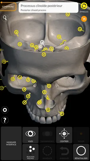 Capture d'écran de Squelette Anatomie 3D sur iPhone 5