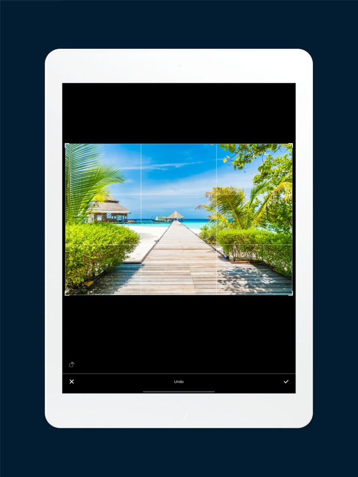 FxLines for social posts