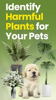 pet protect plan: toxic plant problems & solutions and troubleshooting guide - 1