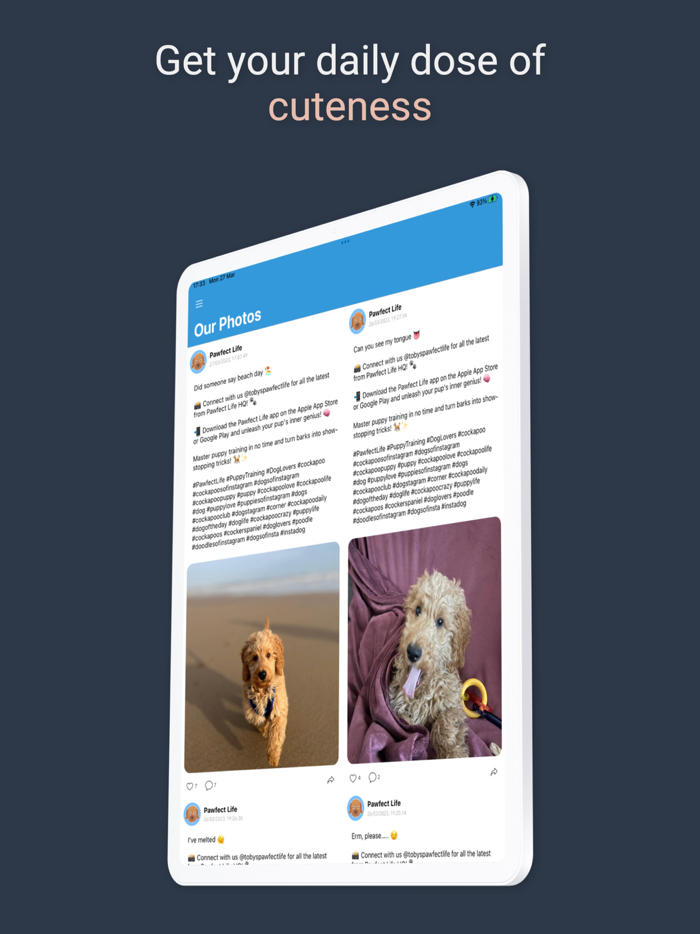 Pawfect Life - Puppy Training