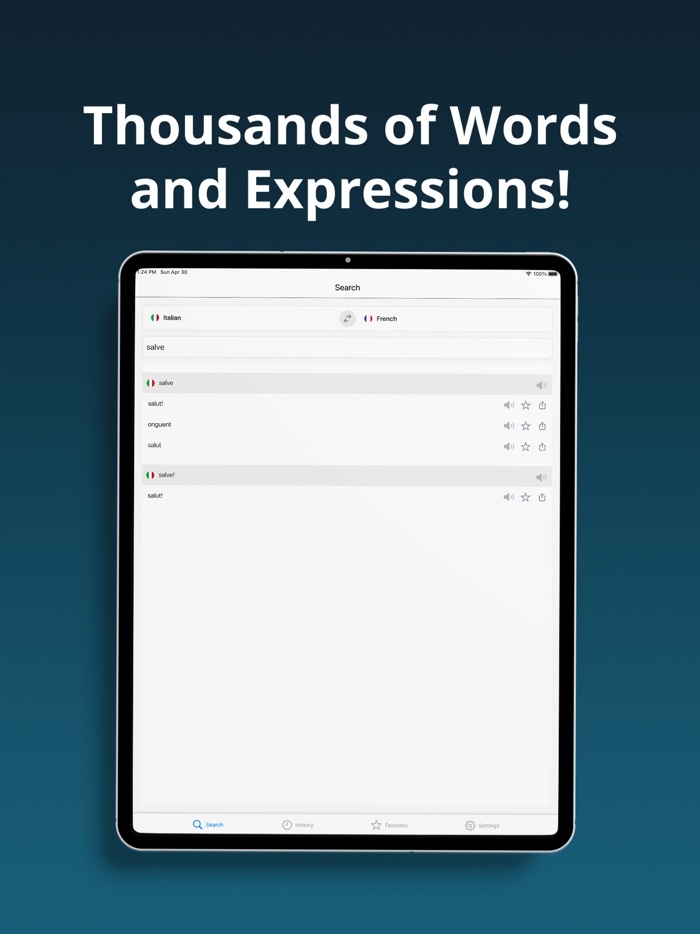 French Italian Dictionary 
