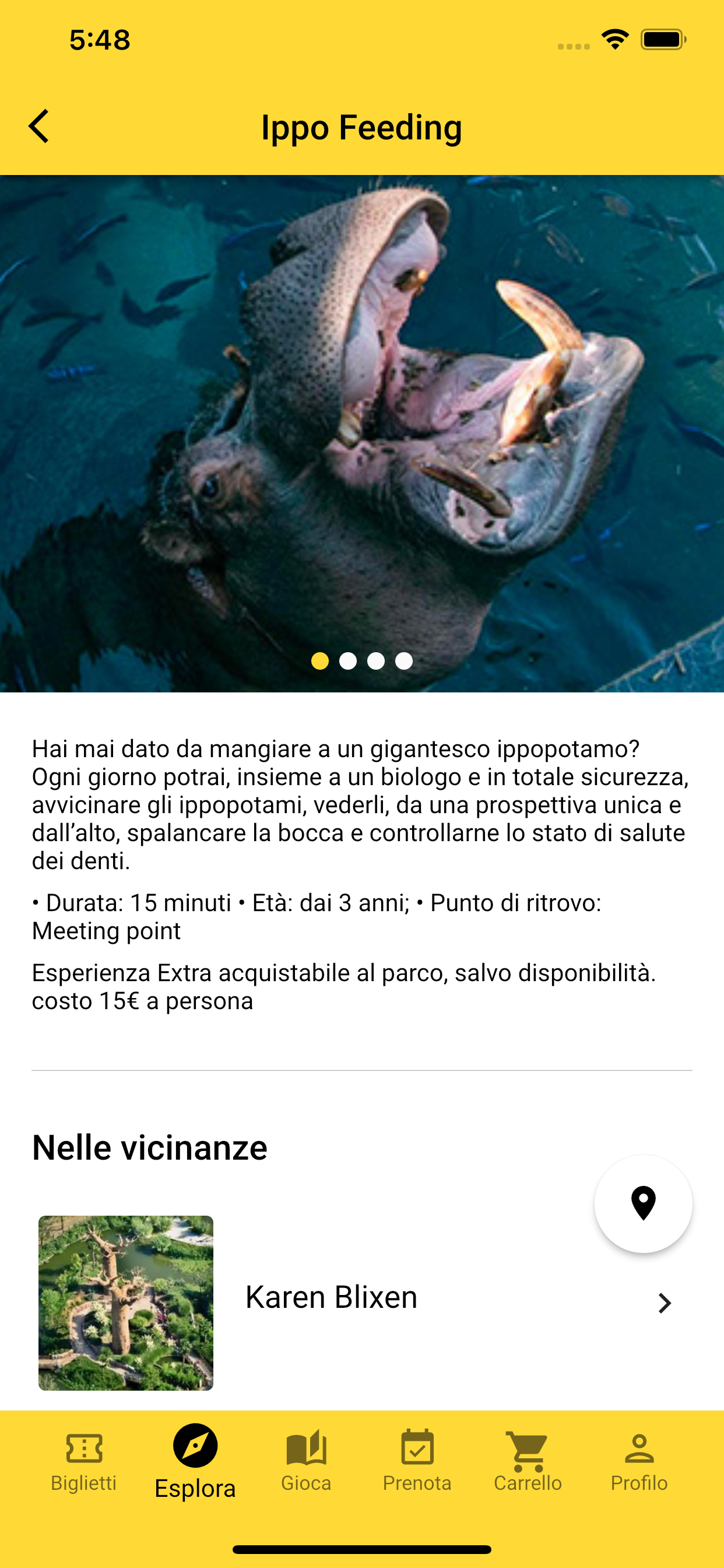 Zoom Torino