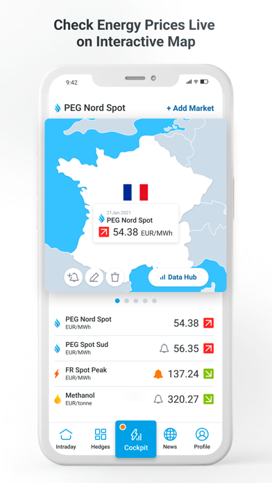 Energy Market Online Screenshot