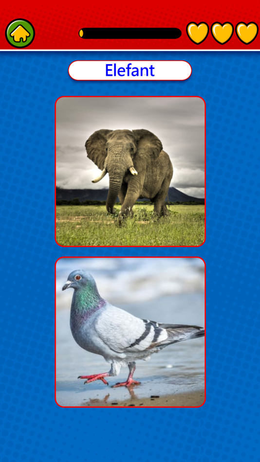 #3. Game to learn Swedish (iOS) By: Duc Tang Van