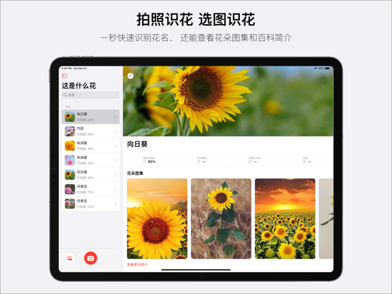 Screenshot #4 pour 这是什么花-拍照识花