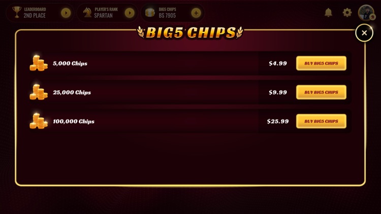 Big Stakes 5 - Dominoes Game screenshot-9