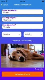 lost - animais perdidos problems & solutions and troubleshooting guide - 1