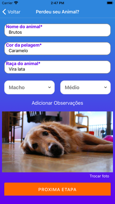 Lost - Animais Perdidos Screenshot