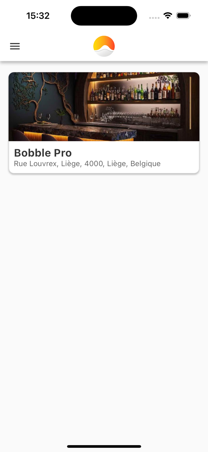 Bobble Pro Digital Business