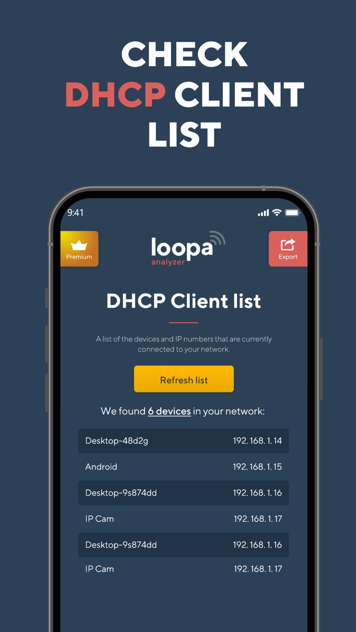Network Analyzer Master Loopa