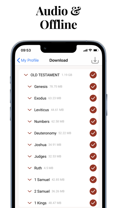 Audio Bible Offline Study App Screenshot