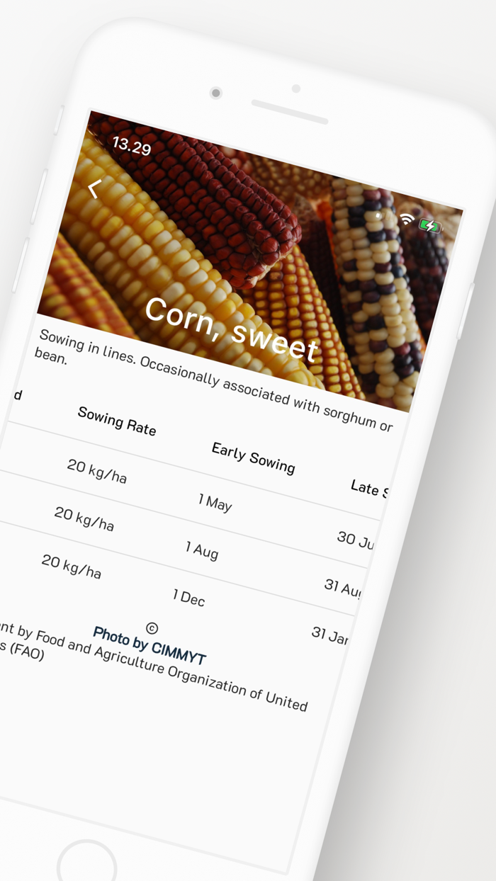 Crop Sowing Calendar Gardening