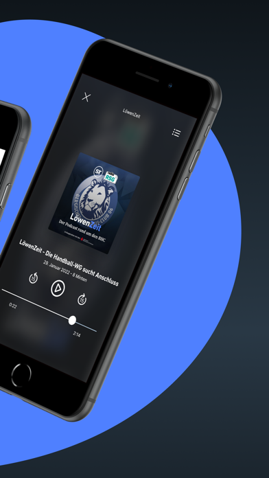 ST - Nachrichten und Podcast Screenshot