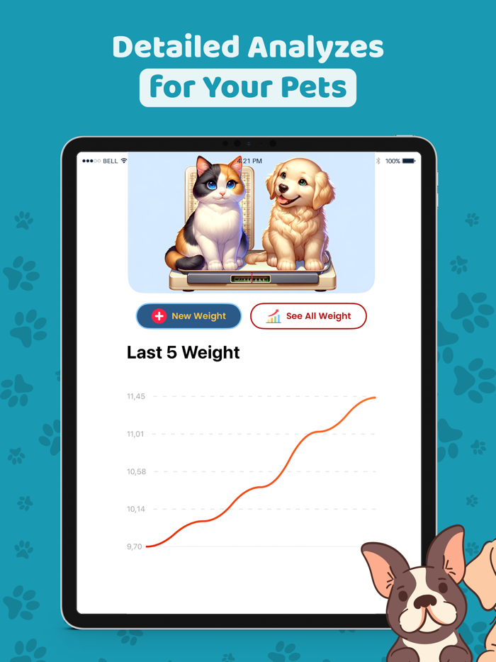 Pet Care  Cat and Dog