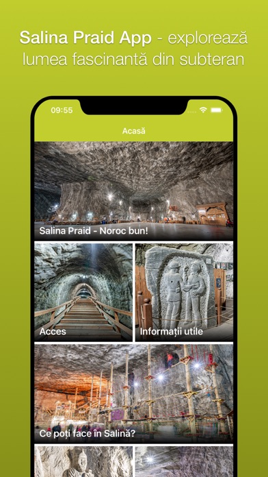 Salina Praid Screenshot