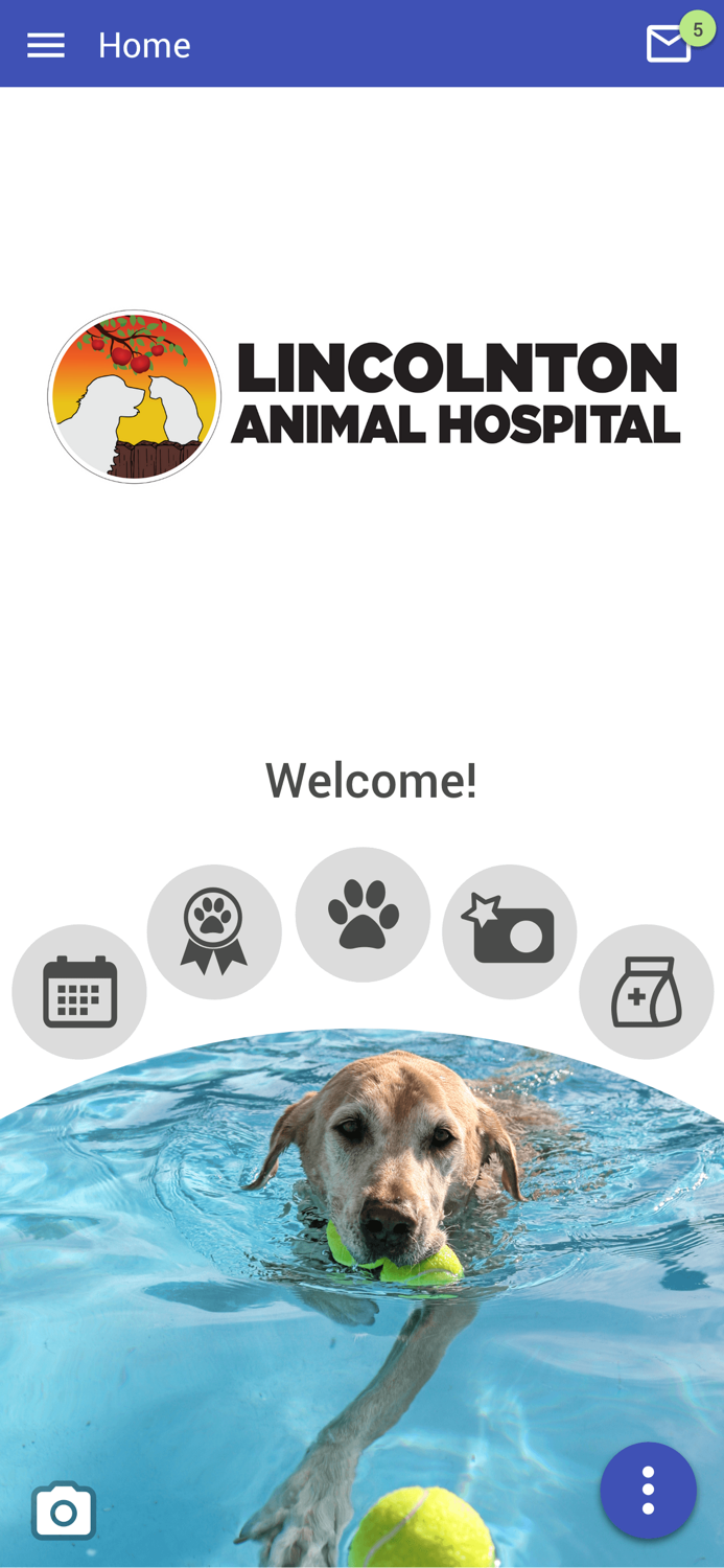 Lincolnton Animal Hospital