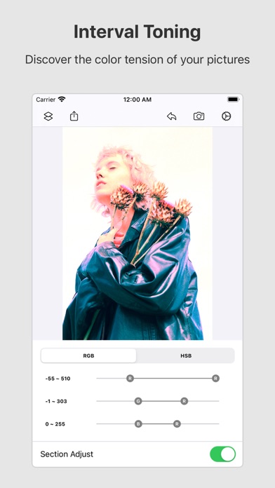 Picsso - colorize the photo Screenshot