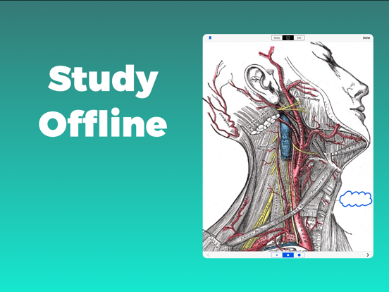 Screenshot #6 pour Anatomy and Physiology GO