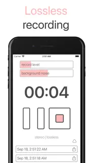 stereo recorder iphone screenshot 2
