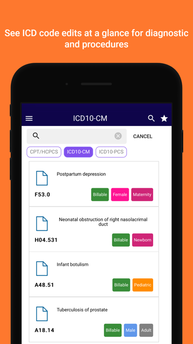 iCoder CPT RVU ICD10 HCPCS Screenshot