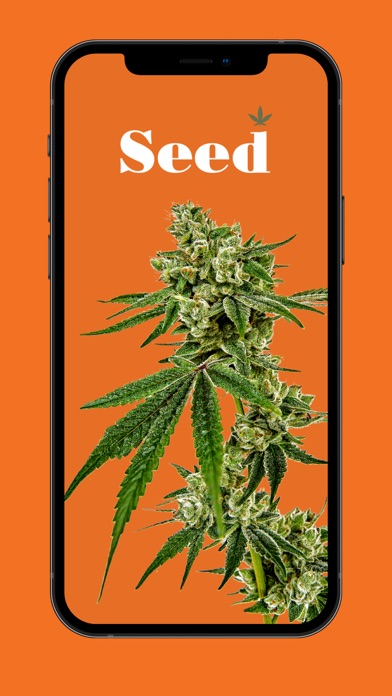 Seed Cannabis Company Screenshot