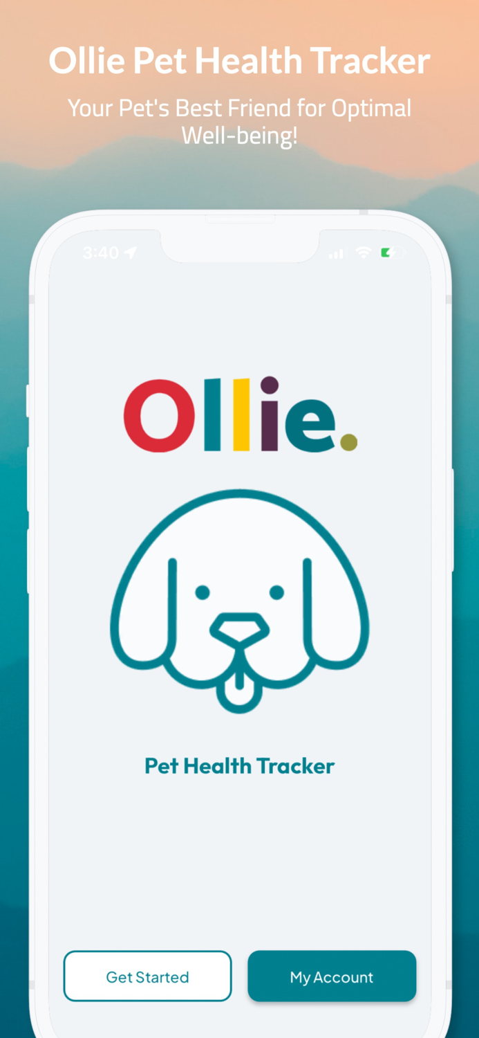 Ollie Pet Health Tracker