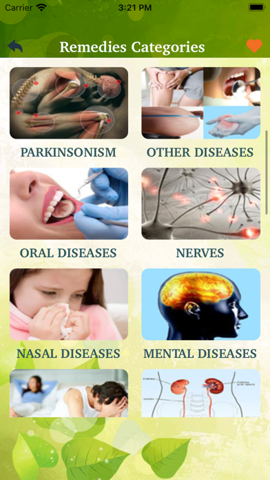 Ayurvedic Health Tips Diseases Screenshot