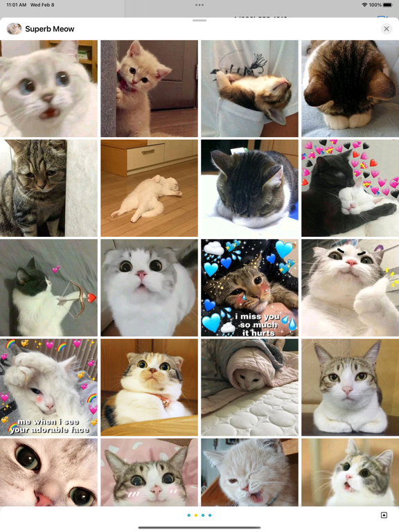 Screenshot #5 pour Superb Meow