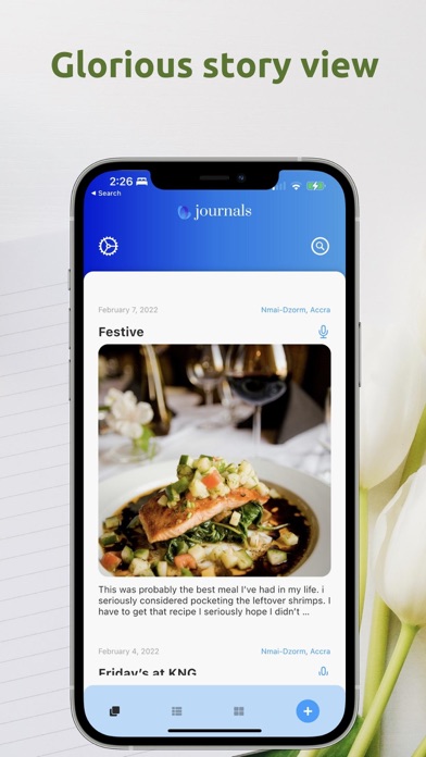 Journals By Amemba Screenshot