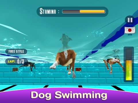 Dog Swimming Raceのおすすめ画像1