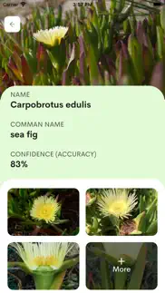 plantix- plant leaf identifier iphone screenshot 4