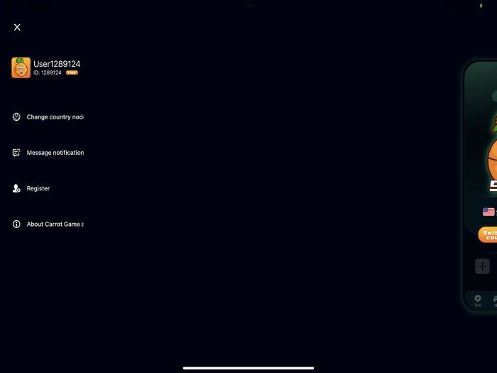 Carrot Game accelerator