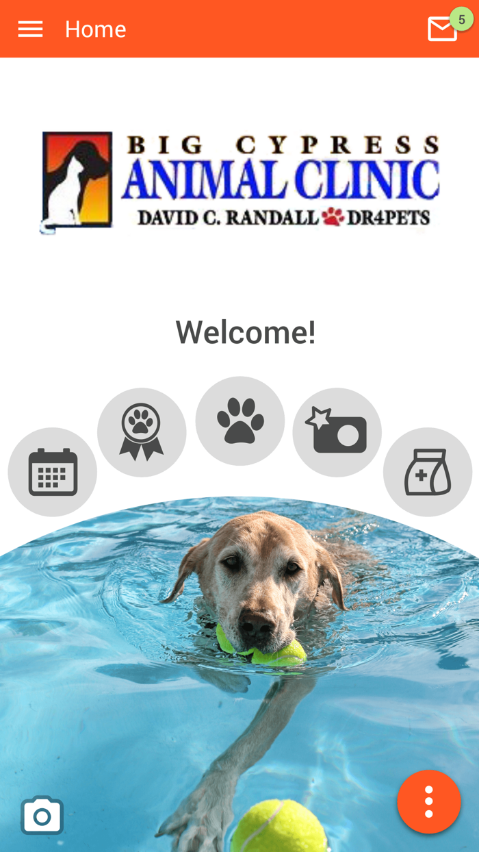 Big Cypress Animal Clinic