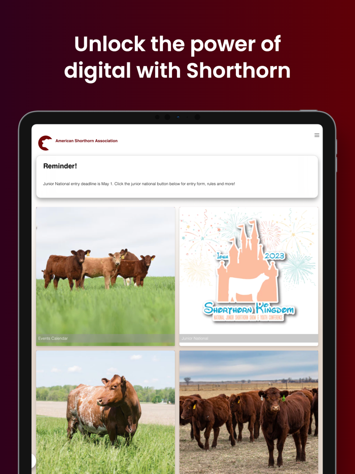 American Shorthorn Association