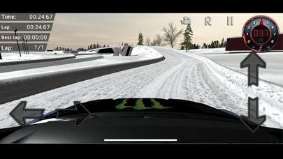 Riku Tahko Racing screenshot