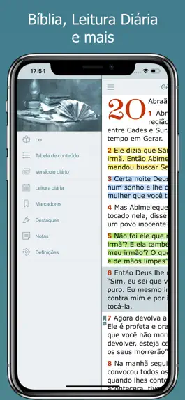 Game screenshot Áudio Bíblia NVI em Português apk