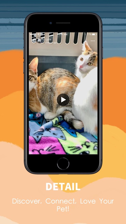 KittyKare-Naughty Video Chat