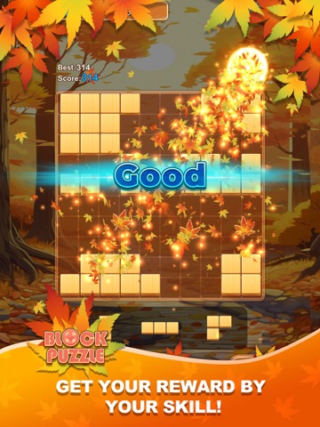 Block Puzzle: Maple Melodyのおすすめ画像3