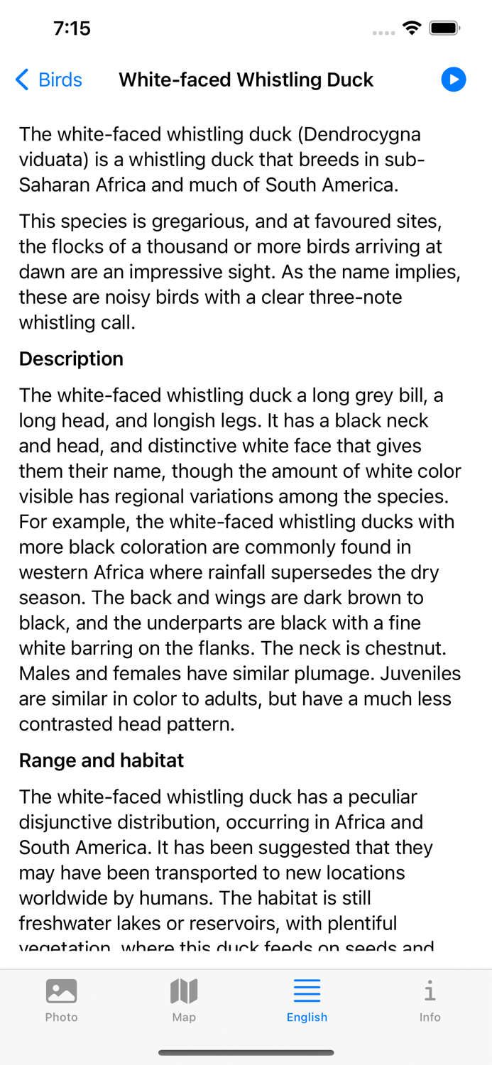 Birds from Southern Africa