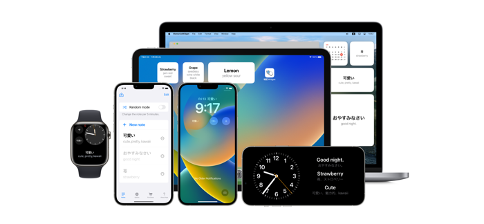 MemorizeWidget learn in widget