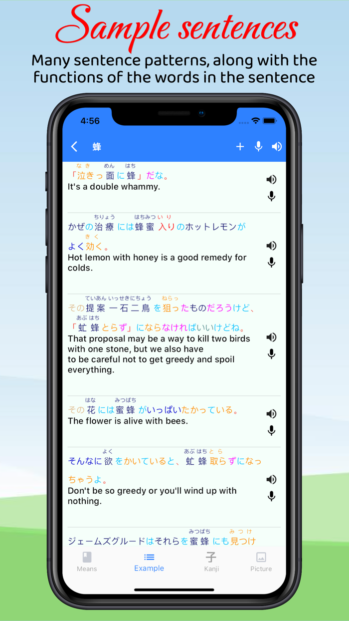 Hachi - Dict to learn Japanese