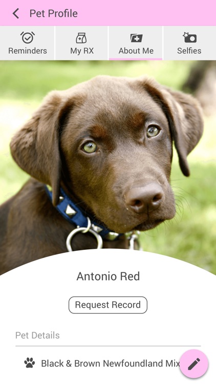 Animal Hospital of Peak Plaza