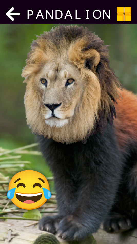 #6. Animal & Dinosaur Jigsaws (iOS) Podle: philippe Bobis